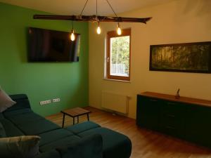 TV a/nebo společenská místnost v ubytování Forest Green Pohorje Apartment