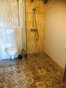 La salle de bains est pourvue d'une douche et de toilettes. dans l'établissement B &B Yuupke Maasbree Noord-Limburg Venlo Roermond, à Maasbree