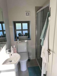 a bathroom with a toilet and a sink and a shower at The Coach House, Clonakilty in Clonakilty