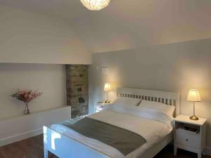 een slaapkamer met een groot bed met 2 lampen erop bij The Coach House, Clonakilty in Clonakilty