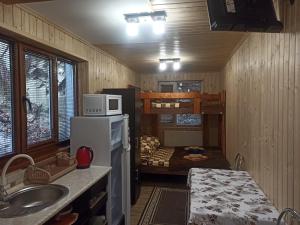 a kitchen with a refrigerator and a sink in a room at Садиба Бункер ЧАН in Mizhhirya
