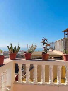 a white railing with potted plants on a balcony at Atlantic house in Tamraght Ouzdar