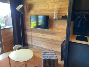 salon z telewizorem z płaskim ekranem na ścianie w obiekcie Avoriaz Malinka w mieście Avoriaz