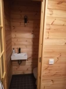 a bathroom with a sink and a toilet at Sisaliku Puhkemaja saunaga in Luke