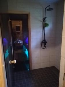 a bathroom with a shower with a glass door at Sisaliku Puhkemaja saunaga in Luke