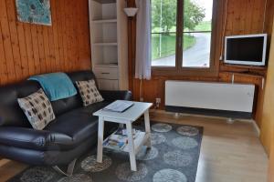 a living room with a couch and a tv at Hof Oberprehl in Murten