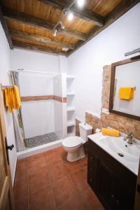 a bathroom with a shower and a toilet and a sink at Club JM Lanzarote in Tabayesco