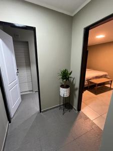 a room with a door leading to a bedroom with a plant at Avalon Apartments in Puerto Iguazú