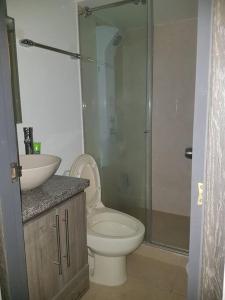 a bathroom with a toilet and a sink and a shower at Apartamento amoblado Central 148 in Bogotá