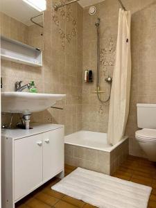 a bathroom with a sink and a toilet and a shower at Flüe 8 in Leukerbad