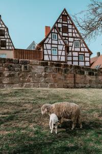 a sheep standing in a field in front of a house at Bayerischer Hof Spalt in Spalt