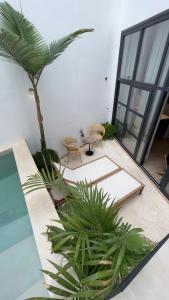 a courtyard with a palm tree in a building at Casa Bailen Sevilla in Seville