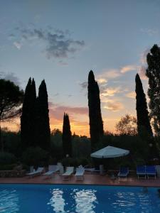 uma piscina com cadeiras e guarda-sóis em frente às árvores em Fattoria Il Milione Agriturismo em Florença