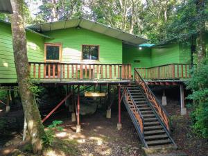 a green house with stairs leading up to it at Canopy Wonders Vacation Home in Monteverde Costa Rica