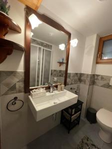bagno con lavandino, servizi igienici e specchio di Chalet I Folletti ad Abbadia San Salvatore