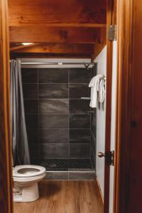 ein Bad mit einer Dusche und einem WC in der Unterkunft Pine Crest Cabin at 36 North - Hot Tub in Purlear