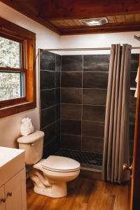 łazienka z toaletą i prysznicem w obiekcie Wolf Creek Cabin at 36 North - Hot Tub w mieście Purlear