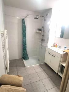 y baño con ducha y lavamanos. en Capbreton Superbe appartement avec parking en Capbreton
