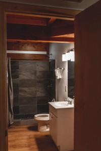 a bathroom with a toilet and a sink and a shower at Deer Run Cabin at 36 North - Hot Tub in Purlear