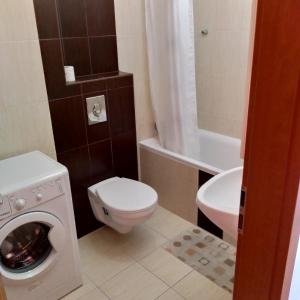 シオーフォクにあるMandy apartman Siófokのバスルーム(トイレ、洗面台、洗濯機付)
