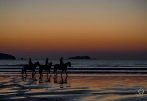 Tres personas montando caballos en la playa al atardecer en Anchor Guest House, en Haverfordwest