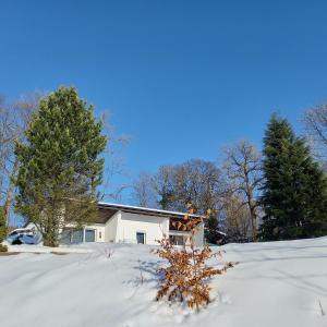 dom na pokrytym śniegiem dziedzińcu z drzewami w obiekcie adBs Ferienhaus w mieście Winterberg