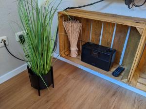 a plant sitting next to a box with a speaker at Schmugglernest in Monschau