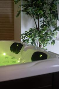 a green sink sitting next to a potted plant at Spa Palawan privé avec jacuzzi et sauna Liège in Liège