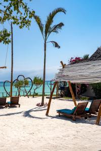 - un groupe de chaises sur une plage donnant sur l'océan dans l'établissement Aya Beach Resort, à Kizimkazi