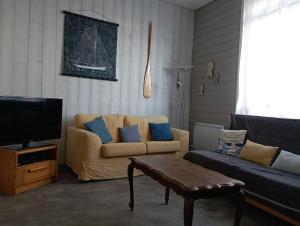 salon z kanapą i telewizorem w obiekcie Maison familiale au Chenal w mieście Grand-Fort-Philippe