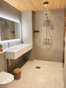 La salle de bains est pourvue d'une douche, d'un lavabo et de toilettes. dans l'établissement Villa Primus, à Ruka