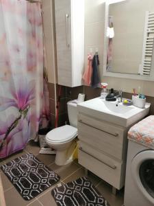 une salle de bain avec toilettes et lavabo dans l'établissement Lux apartman Lena, à Belgrade