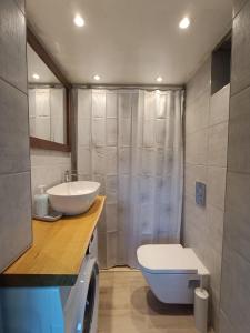 ein Bad mit einem Waschbecken und einem WC in der Unterkunft Stone House Montenegro in Danilovgrad