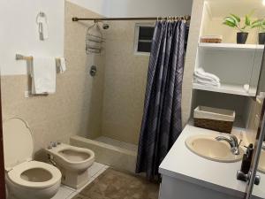 a bathroom with a toilet and a sink and a shower at Luxurious One and Two Bedroom Villa in Christiansted +40 photos