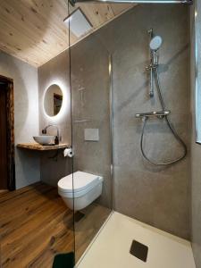 uma casa de banho com um chuveiro, um WC e um lavatório. em Mallnbach Apartments em Mallnitz