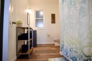 a bathroom with a toilet and a shower curtain at Perfect Pittsburgh Home Close To City & Airport in Pittsburgh