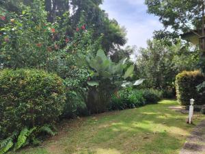 un jardín con arbustos y árboles y un patio en Snapper House en Khao Lak