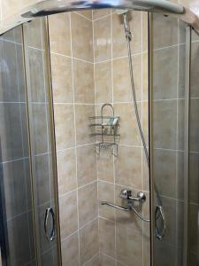 a shower with a glass door in a bathroom at Apartment in Gudauri in Gudauri