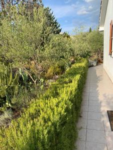 Zahrada ubytování Apartman Ruža