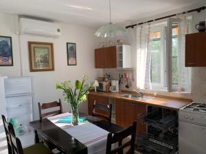 Kuchyň nebo kuchyňský kout v ubytování Apartman Ruža