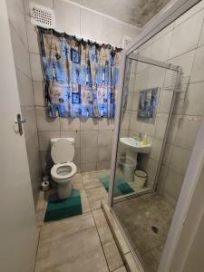 a bathroom with a shower and a toilet and a sink at Beach Break Holiday Flat in Port Shepstone
