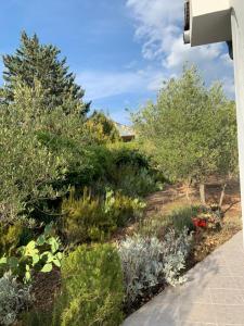 Zahrada ubytování Apartman Ruža