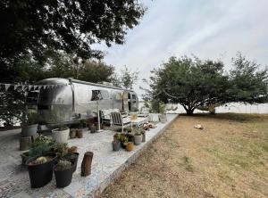 an airstream camper with potted plants on a patio at Amy The Airstream At Aloe Fjord in Vaal Marina