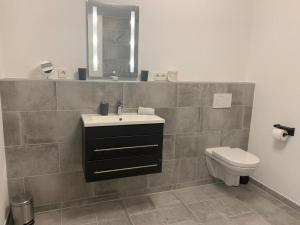 a bathroom with a sink and a toilet at Apartment „Am Südhang“ in Adelzhausen +14 photos