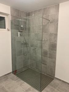 La salle de bains est pourvue d'une cabine de douche avec une porte en verre. dans l'établissement Apartment „Am Südhang“, à Odelzhausen