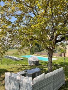 ein Baum und ein Pool im Hof in der Unterkunft Gîte au cœur des vignes in Bourg-sur-Gironde