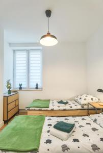 sypialnia z dwoma łóżkami, biurkiem i oknem w obiekcie Apartament Green Forest w mieście Duszniki Zdrój