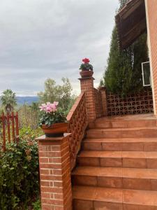 A garden outside Casa a mare