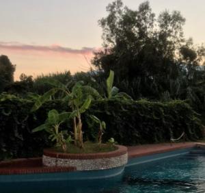 The swimming pool at or close to Casa a mare