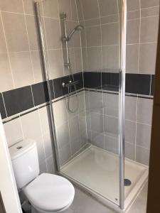 La salle de bains est pourvue d'une douche et de toilettes. dans l'établissement Saint Martin Appartement Duplex Proximité Immédiate Mer & Commerces, à Bréhal